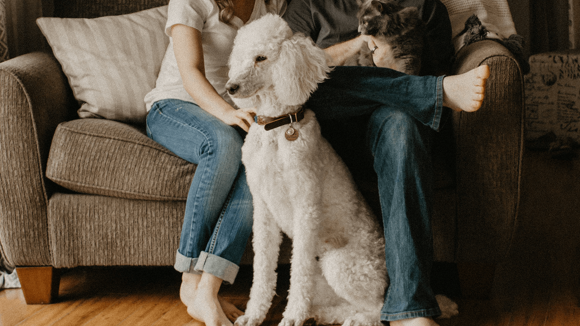 zigbee sensors and alarms for home care