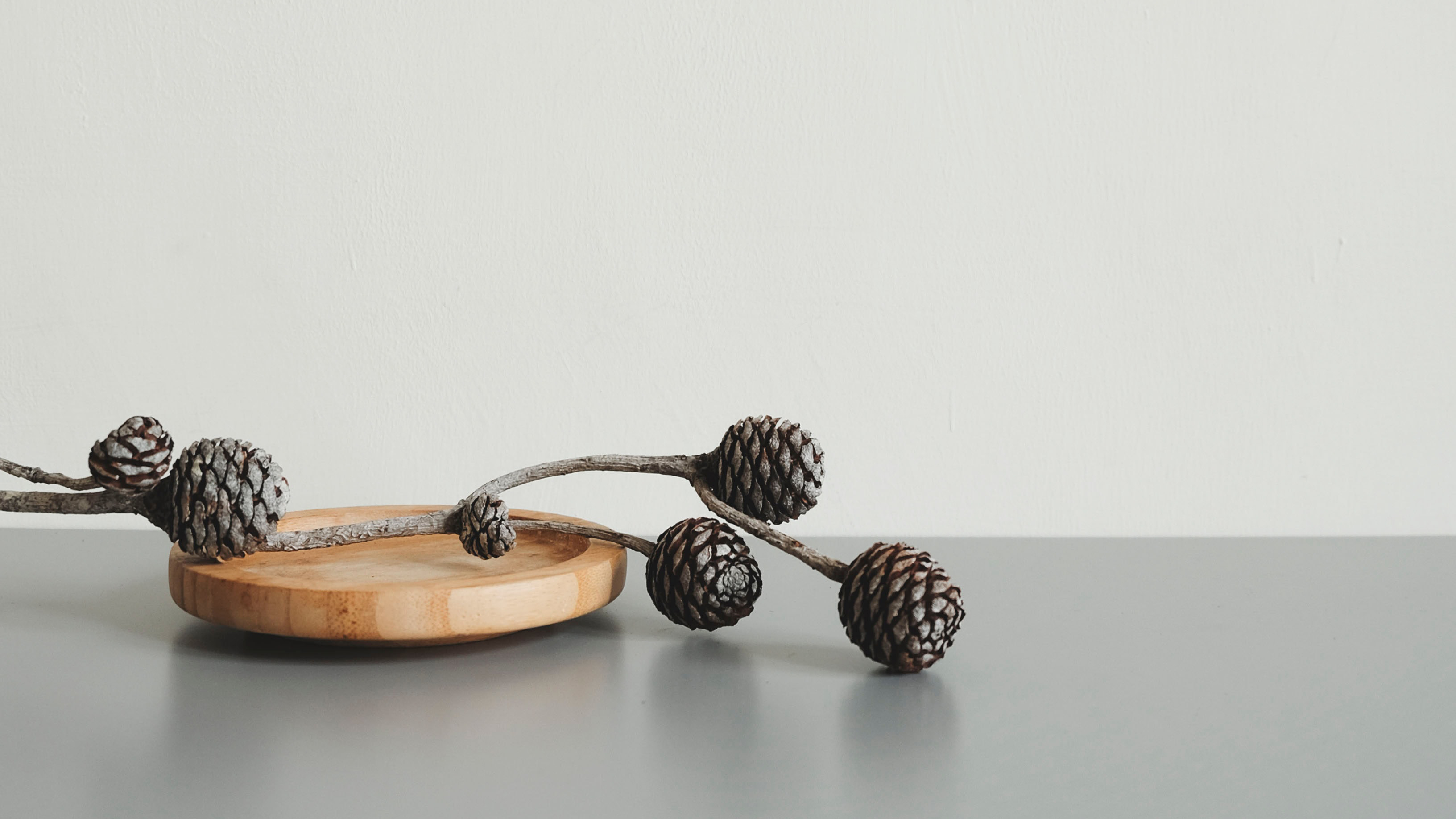 Humidity and temperature monitor best home automation