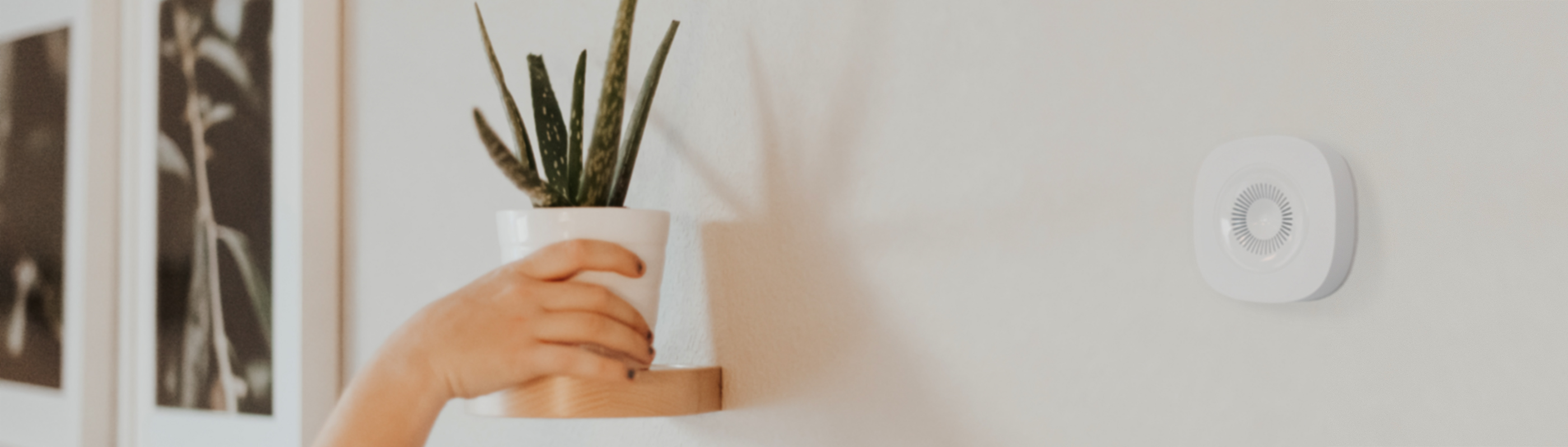 frient humidity and temperature monitor